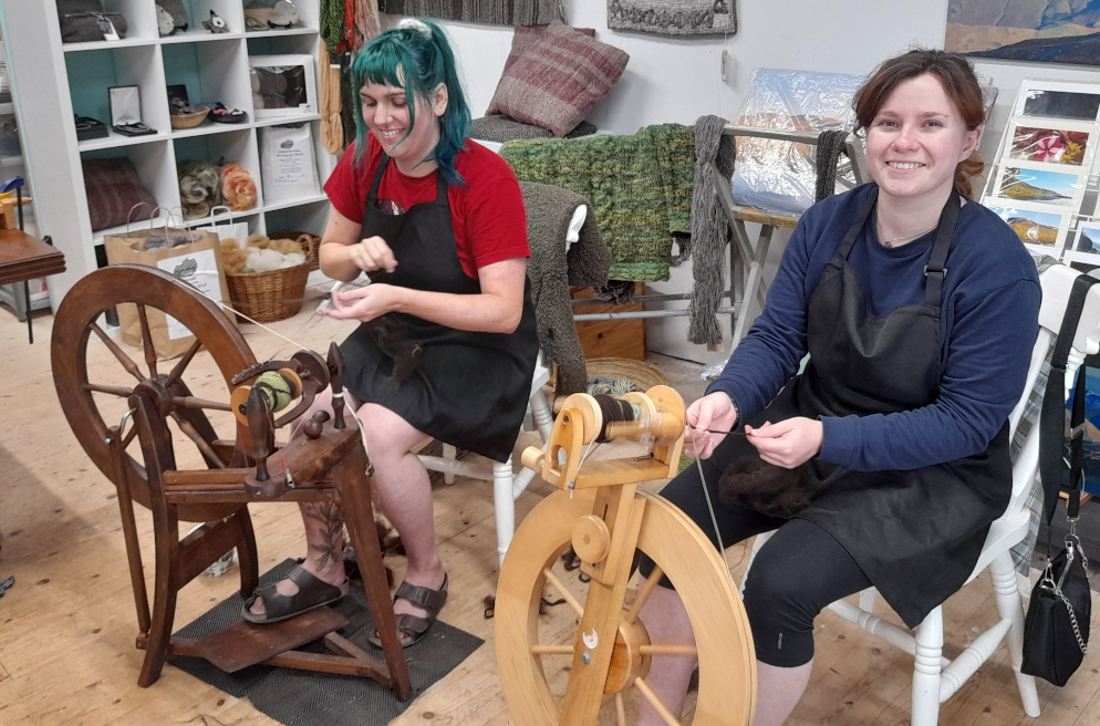 Spinning at Wild Wool Workshop